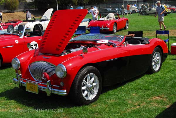 Austin Healey BN2 LeMans Modified 1956