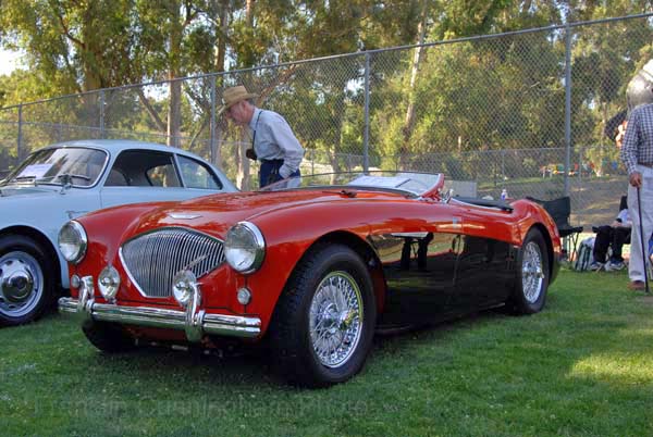 Austin Healey 100 4 1955