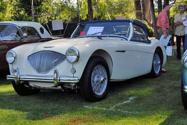Austin Healey 100M 1955