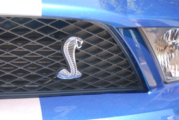 Ford GT500 Shelby Cobra 2007