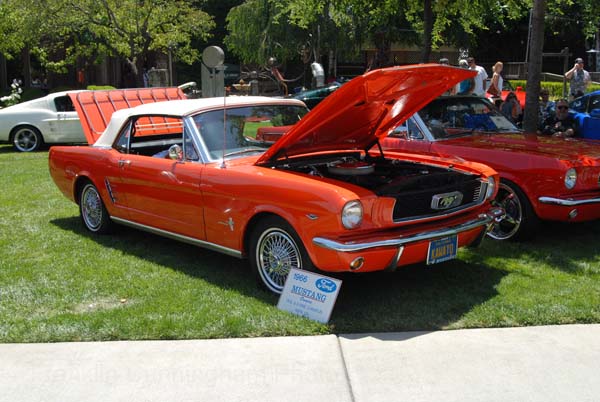 Ford Mustang 1966